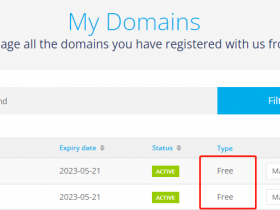 2022最好的免费域名服务商