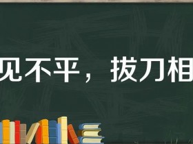 终于把这个服务器换了,纵享丝滑!